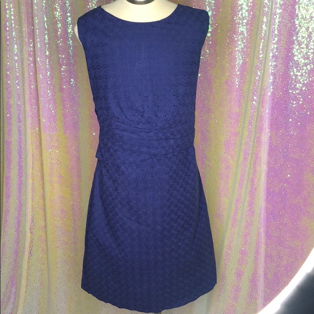 Never worn. Navy Blue Dress.